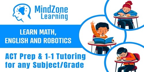 Mindzone Learning